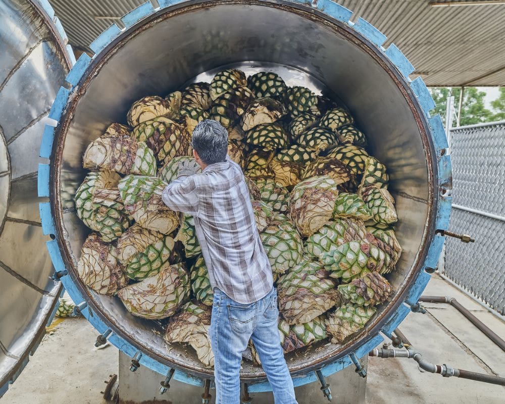 day trip to tequila from guadalajara