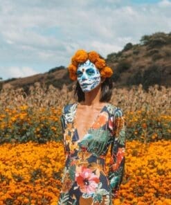 oaxaca marigold farm tour