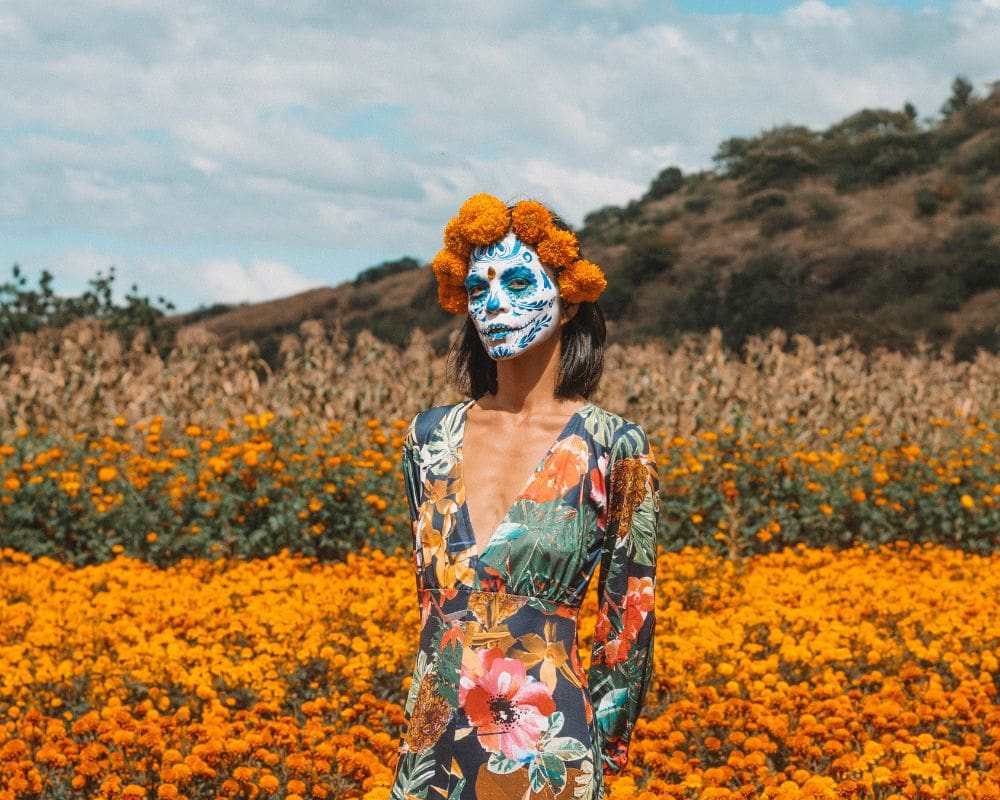 oaxaca marigold farm tour