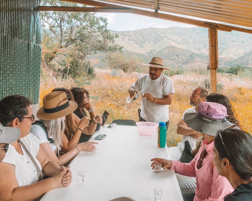 mezcal tour oaxaca