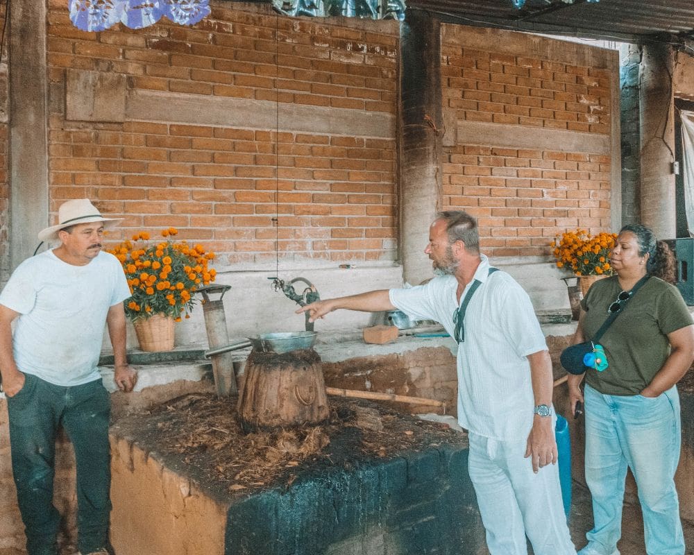 Walk through agave fields and taste ancestral mezcal - Image 3