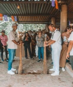 Alternative view of Walk through agave fields and taste ancestral mezcal