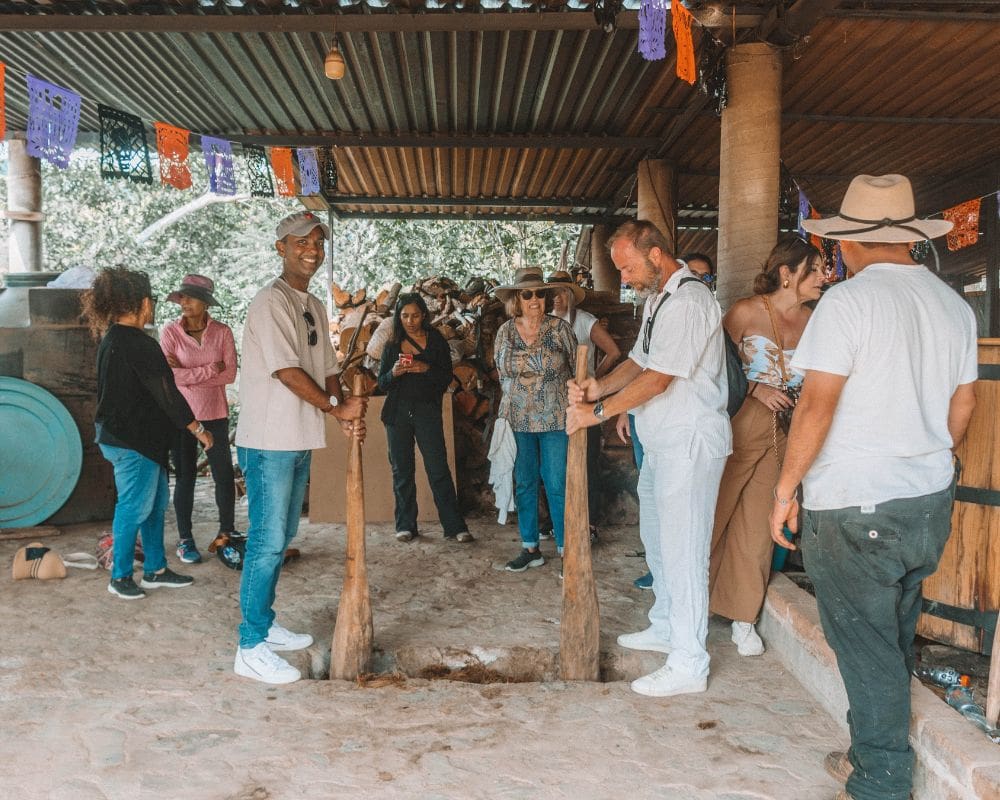 Walk through agave fields and taste ancestral mezcal - Image 2