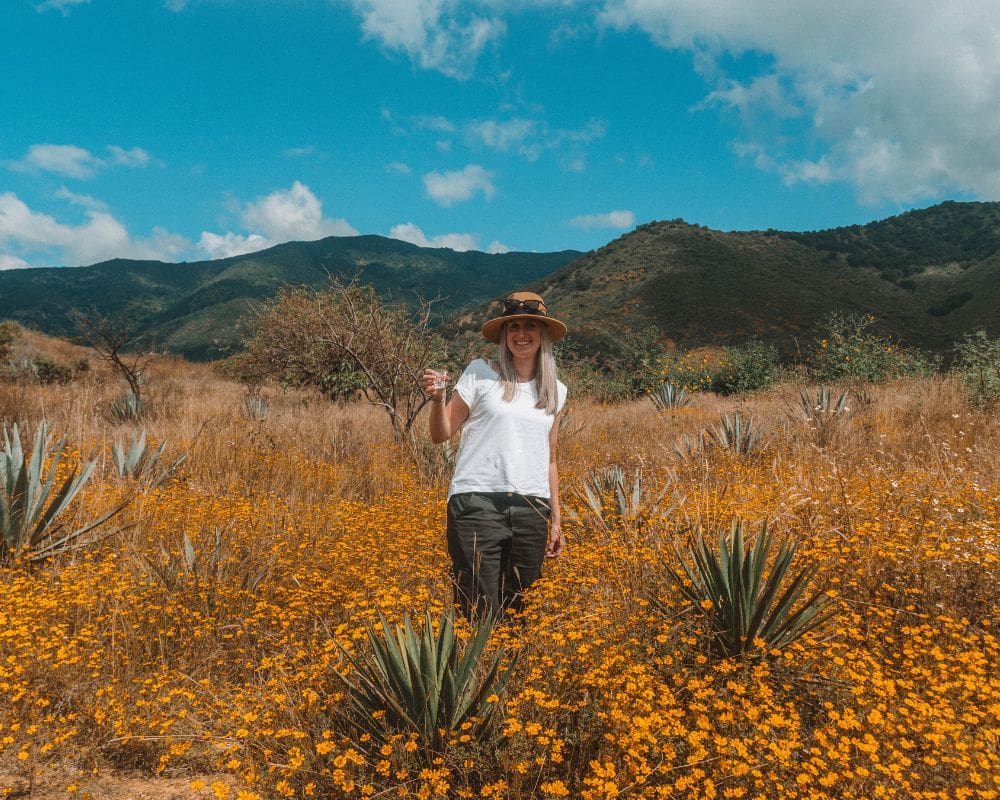Walk through agave fields and taste ancestral mezcal - Image 7