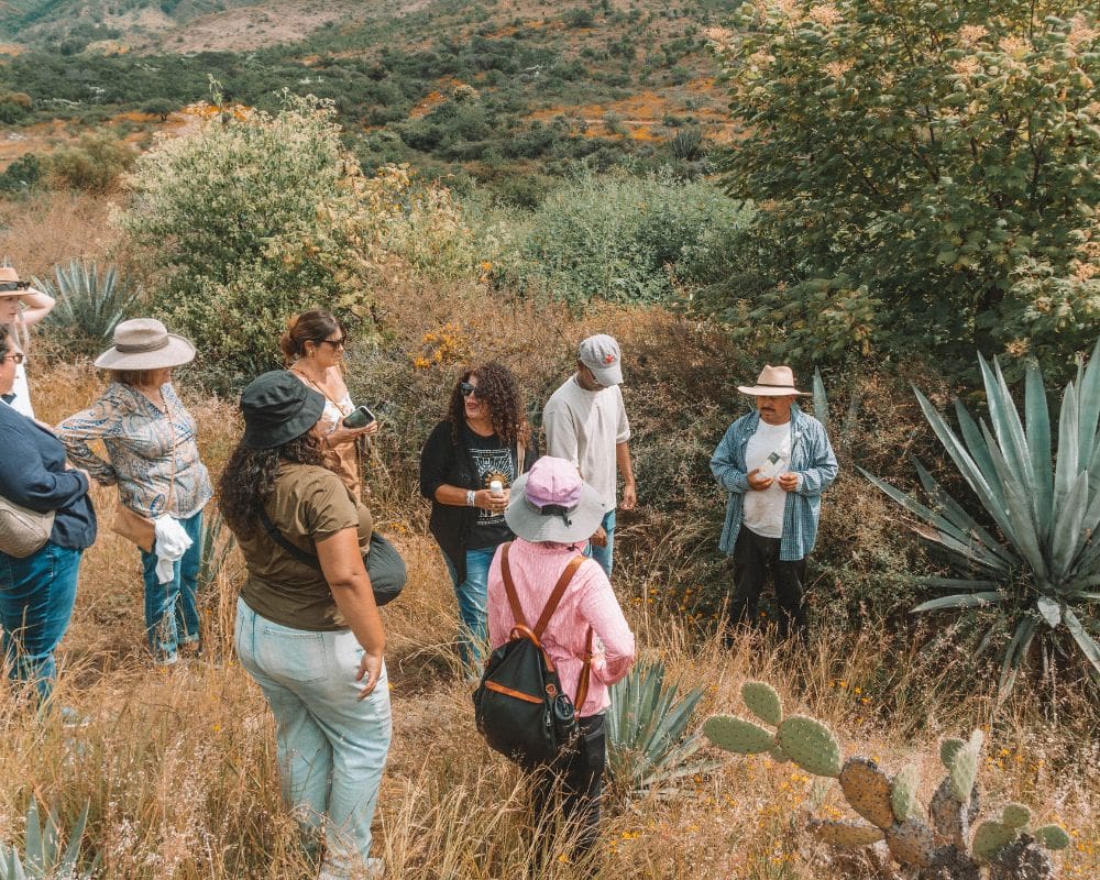 Mezcal Tour Oaxaca