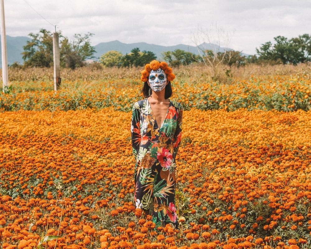 oaxaca day of the dead tour