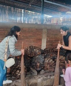 Make mezcal the old-school way with locals